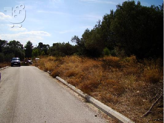 Οικόπεδο σε όμορφη περιοχή κοντά στην Αθήνα